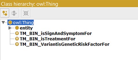 Classes used as text mining bins.