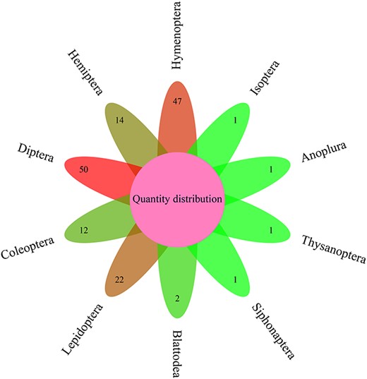 Distribution of insect numbers per order for 151 insects.