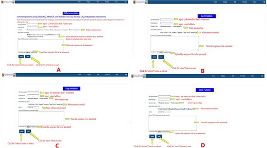 Instructions for the use of nine gene function annotation tools such as CAZyme, GO, KEGG and all annotation tools.