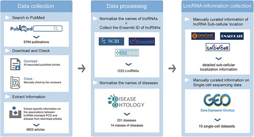 Data collection and processing of the LncPCD database.