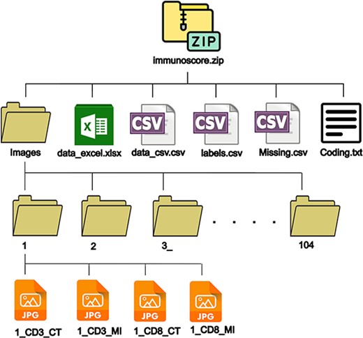 Dataset structure.