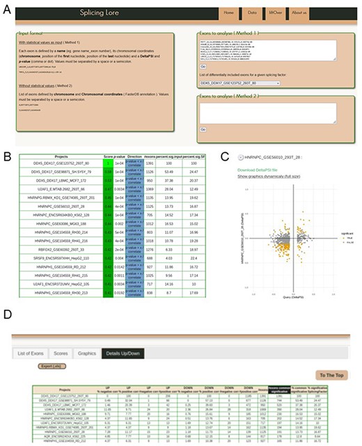 Visualization of the SplicingLore web interface. (A) View of the home page, with the instructions to prepare the input list of exons and the query window. This includes the drop-down menu that allows to retrieve a given list of SF-regulated exons from the database. (B) View of the top of the main output file, showing for each dataset the different correlation parameters with the query list (here the exons regulated by DDX5/DDX17 in 293T cells). The Score and associated P-value for positive or negative correlation are provided for each dataset of the database, along with the total number of exons in the corresponding dataset and the fraction of common exons between the compared datasets, relative to the query list or to the tested dataset. (C) The correlation graph of the ∆PSI values for common exons from the query list and one of the stored datasets. Coloured dots represent exons that are significantly regulated by both SF. The file containing the corresponding ∆PSI values for these exons can be downloaded here. (D) View of the top of the detailed output file, which provides the number (#) and fraction (%) of shared exons between the query and the dataset, separated in up-regulated and down-regulated subclasses of exons.