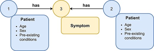 Example of a graph. A graph consists of nodes (represented as circles) and edges (represented as arrows) that connect nodes with each other. Nodes and edges can have labels, e.g., symptom or patient, and additional attributes. Attributes (often referred to as features) contain additional information about nodes or edges, e.g., the age and sex of a patient node.