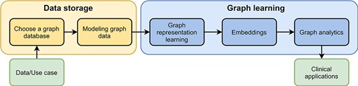 Pipeline for processing graph data. The pipeline consists of two parts, data storage and graph learning. As input users have data and a specific use case. After they have chosen a graph database, they need to design a graph data model to store their data appropriately (data storage). In the second part, high-dimensional graph data are reduced to obtain low-dimensional embeddings using graph representation learning. These embeddings are used in graph analytics for several different clinical applications, e.g., predicting interactions between drugs.
