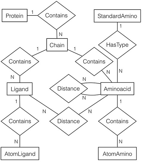 Entity-relationship diagram of the protein data used by GSP4PDB. It shows the entities, relationships and attributes identified and used to create the PostgreSQL database. Alt Text: Entity-relationship diagram of the GSP4PDB database.