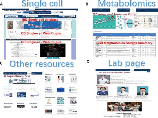 The single-cell, metabolomics, other resources and lab page section of IBDIRP. (A) The single-cell section exhibited major IBD-related database and introduced IBD single-cell interactive visualization. (B) More than 24 primary recently published large-scale IBD metabolomics studies are displayed in the metabolomics section. (C) The other research resource listed 18 important IBD web resources. (D) The lab page introduces our lab briefly.