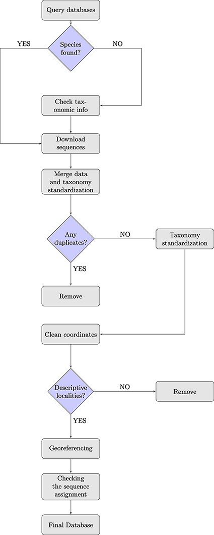 Alt text: Diagram showing the steps of the database building process as described in the main text.