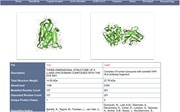 An example of information page of nanobodies (comparable/docking view).    ...