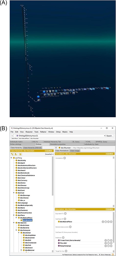 Comparison of the 3D class hierarchy in Graph2VR (9(A)) with the 2D class hierarchy in Protégé (9(B)) showing the same class hierarchy. (A) The class hierarchy in Graph2VR can display subclasses and individuals in a single 3D tree structure. The individuals and their attributes point in the third dimension. (B) The class hierarchy in Protégé is a tree structure starting at owl: thing. The individuals are displayed in a separate panel after selecting one of the classes.