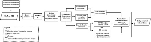 Workflow describing the important steps in the DisProt curation process.