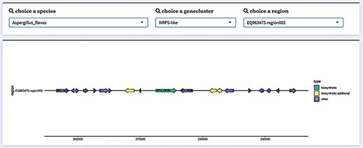 Gene cluster structure information display in FGCD. The selected data can be visually displayed by filtering through the selection box above.