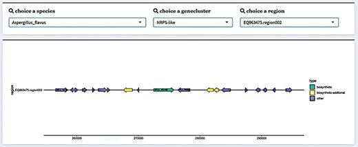 Gene cluster structure information display in FGCD. The selected data can be visually displayed by filtering through the selection box above.