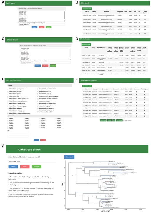 The Search module sections. (A, B) Search page and result page of Batch Search, (C, D) Search page and result page of effector search, (E, F) Search page and result page of Gene Search By Location, (G) Search page and result page of Orthogroup search.