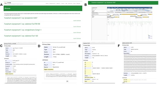 JBrowse section under the Tools module. (A) Page of genome browser index, (B) available tracks for different types of genomic features, (C) a window showing detailed information of the target gene model, (D) TE information, (E) SNPs and INDELs information for 35 Fusarium oxysporum accessions, (F) SVs’ information for 35 F. oxysporum accessions.