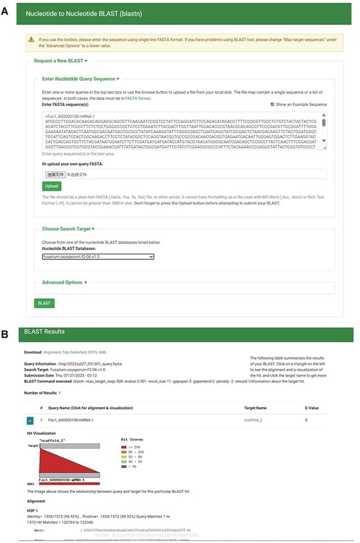 BLAST section under the Tools module. (A) BLAST search page. (B) BLAST result page.