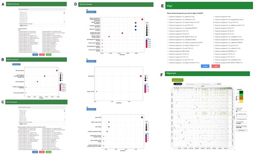(A, B) Search page and result page of KEGG enrichment, (C, D) Search page and result page of GO Enrichment, (E, F) Search page and result page of Alignment.