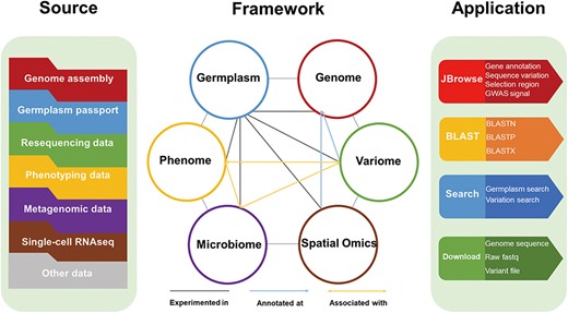The framework of LettuceDB, including six data modules and bioinformatics tools.