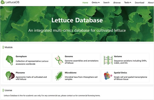 The LettuceDB home page.
