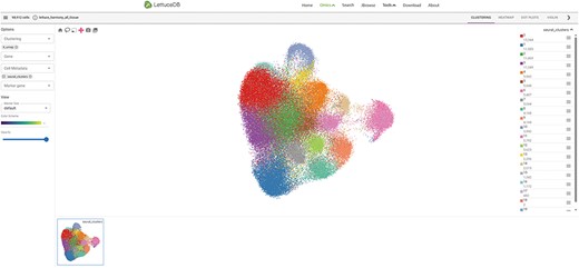 Webpage of the Spatial Omics module, including the main canvas in the center, toolbar on the top, section selector on left, sidebar on right and gallery at the bottom.