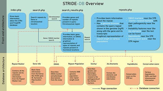 A systematic outline of the front-end and back-end architecture of STRIDE-DB.