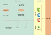 A systematic methodology of the data collection and data processing of STRI...