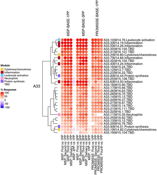 Group-level fingerprint heatmap representation. This heatmap represents changes in transcript abundance for individual modules (rows) belonging to a given aggregate (A33 in this example), across MSP and PROMISSE study groups (columns). Groups here are formed according to the sampling time point (first, second or third trimester) and baseline (1 or 3 months post-partum, noted 1PP and 3PP, respectively). Rows and columns are arranged via hierarchical clustering, based on similarities in abundance profiles. The red spots indicate an increase in transcript abundance compared to baseline, with proportions of significant transcripts for the corresponding module ranging from 15% to 100%. The blue spots indicate a decrease in transcript abundance with proportions indicated by negative % values ranging from −15% to −100%. Functional associations for the modules shown on the heatmap are indicated by a color code on the vertical annotation track.