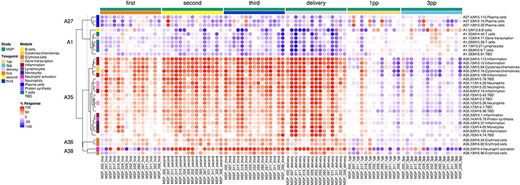 Individual-level fingerprint heatmap representation. This heatmap represents changes in transcript abundance for individual modules (rows) belonging to multiple aggregates (A27, A1, A35, A36 and A38 in this example), across individual MSP samples (columns). Columns are arranged according to the study group membership (first, second or third trimester, delivery, 1 month and 3 months post-partum). Rows are arranged via hierarchical clustering, based on similarities in abundance profiles, first across modules aggregates, then secondly within module aggregates (i.e. modules from different aggregates remain on their aggregate’s branch). The red spots indicate an increase in transcript abundance compared to baseline, with proportions of significant transcripts for the corresponding module ranging from 15% to 100%. The blue spots indicate a decrease in transcript abundance with proportions indicated by negative % values ranging from −15% to −100%. Functional associations for the modules shown on the heatmap are indicated by a color code on the vertical annotation track. ‘First’, ‘second’ and ‘third’ = first, second and third trimester of pregnancy, respectively. 1 PP = 1 month post-partum; 3 PP = 3 months post-partum.