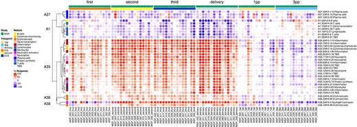 Individual-level fingerprint heatmap representation. This heatmap represents changes in transcript abundance for individual modules (rows) belonging to multiple aggregates (A27, A1, A35, A36 and A38 in this example), across individual MSP samples (columns). Columns are arranged according to the study group membership (first, second or third trimester, delivery, 1 month and 3 months post-partum). Rows are arranged via hierarchical clustering, based on similarities in abundance profiles, first across modules aggregates, then secondly within module aggregates (i.e. modules from different aggregates remain on their aggregate’s branch). The red spots indicate an increase in transcript abundance compared to baseline, with proportions of significant transcripts for the corresponding module ranging from 15% to 100%. The blue spots indicate a decrease in transcript abundance with proportions indicated by negative % values ranging from −15% to −100%. Functional associations for the modules shown on the heatmap are indicated by a color code on the vertical annotation track. ‘First’, ‘second’ and ‘third’ = first, second and third trimester of pregnancy, respectively. 1 PP = 1 month post-partum; 3 PP = 3 months post-partum.