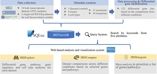 IBDTransDB for exploratory, comparative and integrative datasets to identify and validate the novel IBD targets. Top panel: data processing and meta data curation for 34 IBD bulk transcriptomics datasets and 2 single-cell RNASeq datasets. Bottom panel: three data analysis modules.