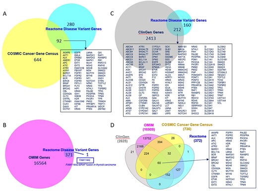Overlap of Reactome disease variant genes with (A) COSMIC Cancer Gene Census genes, (B) OMIM disease genes, (C) ClinGen disease genes and (D) COSMIC, OMIM and ClinGen combined. Overlapping COSMIC/Reactome, ClinGen/Reactome and COSMIC/ClinGen/OMIM/Reactome genes are shown. A single disease gene present in Reactome but not in OMIM is shown.