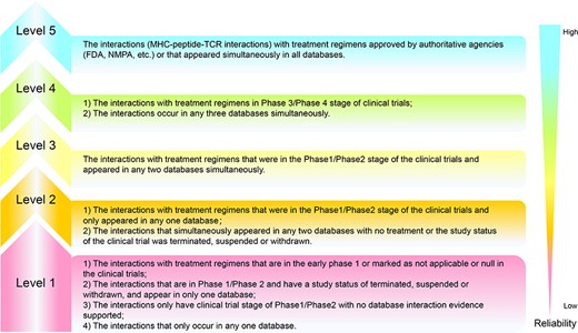 Reliability criteria for interactions in ACTs. Reliability is increasing from Levels 1 to 5, with each level having its own judgment criteria.