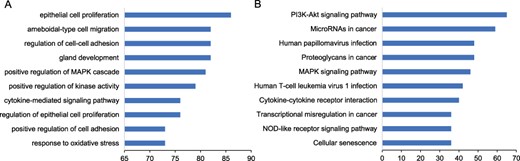 Functional enrichment of prognostic markers. We performed the functional enrichment of the known prognostic RNAs in biological processes of Gene Ontology (GO) and Kyoto Encyclopedia of Genes and Genomes (KEGG) pathway. The significant terms were ranked according to the number of prognostic markers. The top 10 significant terms were shown for (A) GO and (B) KEGG.