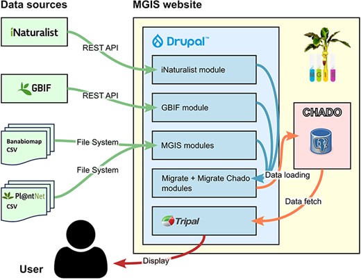 Observation data flow in the MGIS