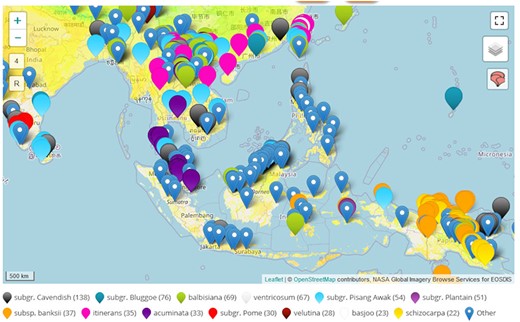 Map view of observations recorded in the center of origins of bananas in southeast Asia and Oceania