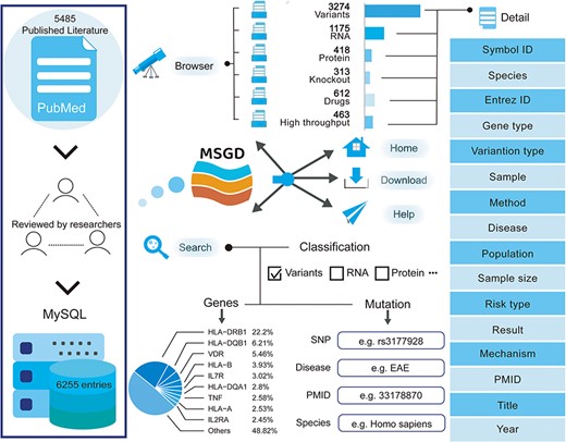 A schematic workflow of MSGD.