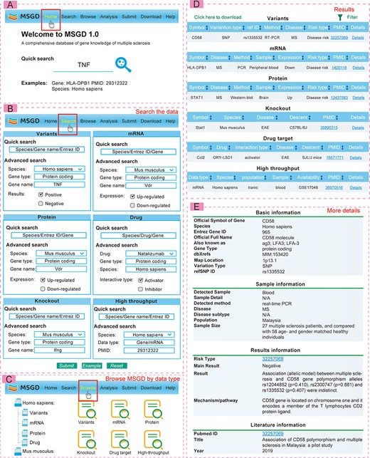 The web interface and usage for MSGD.