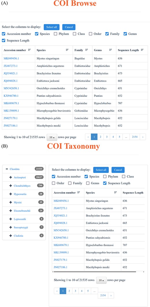 Advanced search function. (A) Using ‘browse’ function under ‘18S’ and ‘COI’ function in the navigation bar to view the available sequences. (B) Through ‘taxonomy’ function under ‘18S’ and ‘COI’ function in the navigation bar to find the desired sequences. (C) BLAST page and an example of the BLAST search result.