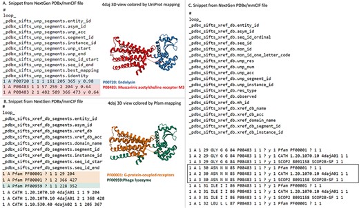 Accessing SIFTS annotations in the NextGen Archive: this figure displays a snippet from the NextGen Archive PDBx/mmCIF File for PDB ID pdb_00004daj, together with a 3D representation of the molecular structure. (A) Depicts the ‘_pdbx_sifts_unp_segments’ category, presenting two segments of PDB chain A, each mapped to UniProtKB accessions: P00720 and P08483. This suggests that PDB ID pdb_00004daj corresponds to a chimeric protein. (B) Illustrates the ‘_pdbx_sifts_xref_db_segments’ category, demonstrating residue range-based cross-references to additional databases like Pfam, SCOP2 and CATH. In this case, PDB chain A is associated with two Pfam domains, corresponding to a G-protein-coupled receptor (Pfam accession: PF00001) and Phage lysozyme (Pfam accession: PF00959). (C) Displays the ‘_pdbx_sifts_xref_db’ category, providing a comprehensive view of all mappings for each residue to external databases. Notably, the mappings from UniProt and other cross-reference databases (Pfam/SCOP2/CATH) are highlighted in a box for residue Asn30 in chain A.