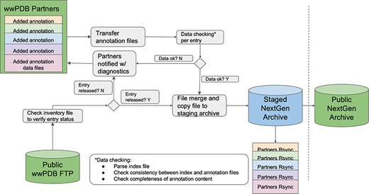 Systematic workflow of NextGen Archive: this figure outlines the structured process for maintaining and updating the NextGen Archive. It showcases key steps, including annotations collection from wwPDB partners, data quality checks, corrective actions, file aggregation and synchronized data in the staging area.