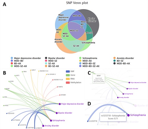 Figure 2 displays the ‘Relation’ interface, showing the relationships between different psychiatric disorders and omics data types. Panel A is a Venn diagram labelled ‘SNP Venn plot’, highlighting the shared SNP markers among four disorders. Each disorder is represented by a different colour, with overlaps indicating shared SNPs. Panel B displays a network diagram where different omics data types are connected to specific disorders through coloured lines, indicating the relationship between data type and disorder. Panels C and D provide zoomed-in views of the network, with hover-over functionality for nodes and edges to reveal more detailed information such as specific gene identities, SNP scores, chromosomal locations, and so on.”
