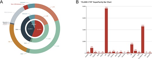 Quantity display of consensus sequences in FishTEDB 2.0. (A) Pie chart of classes, types and orders, with the quantity and proportion displayed on the web page. (B) Bar chart of different superfamilies in TIR (terminal inverted repeat).