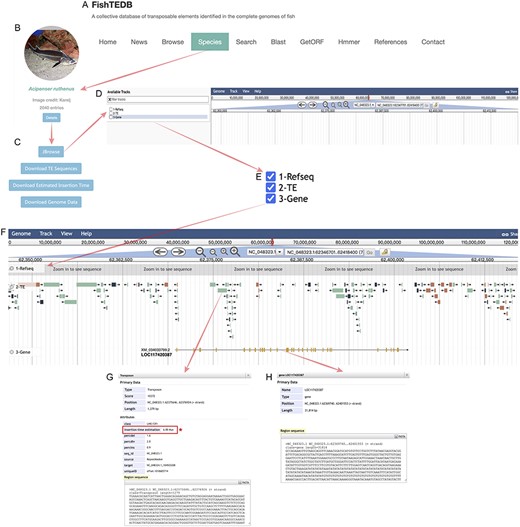 Operation guide for new features of FishTEDB 2.0.
