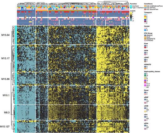 Heatmap showing changes in transcript expression for modules in aggregate A28, clustered by interferon subgroups (‘absent’, ‘mild’, ‘moderate’, ‘strong’). Each cell represents the relative expression level of a transcript in an individual SLE patient, with yellow indicating increase and blue indicating decrease.