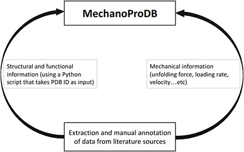 Schematic representation of MechanoProDB