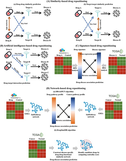 Schematic diagram of four kinds of drug repositioning algorithms integrated by DrugRepoBank. (A) Similarity-based drug repositioning. It contains two methods, namely (a) the drug–drug similarity prediction method and (b) the target–target similarity prediction method. (B) Artificial-intelligence-based drug repositioning. The approach is to predict drug–target interactions. (C) Signature-based drug repositioning. It operates on the fundamental premise that candidate drugs (Drug A) should reverse the gene signature (DEGs, Differentially Expressed Genes) associated with the disease of interest (Disease A), which has been altered by the disease when compared to control samples. (D) Network-based drug repositioning. (a) DRviaSPCN evaluates drug-disease reverse association based on disease- and drug-induced subpathways weighted by the subpathway crosstalk. (b) DrugSim2DR constructs a disease-specific functional drug–drug similarity network using gene expression data between cancer and normal states. Drugs are ranked based on network centrality scores calculated via a propagation algorithm.