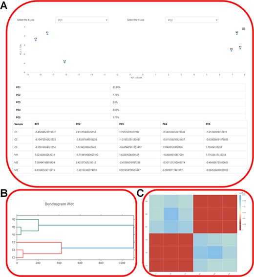 Expression profiling. (A) Showcasing the distribution of samples in the principal components and elucidating the contributions of each principal component using ‘PCA Analysis’. (B) The dendrogram depicting the hierarchical clustering results of transcriptome samples. (C) Visualization of gene expression correlations using ‘Correlation Heatmap’.