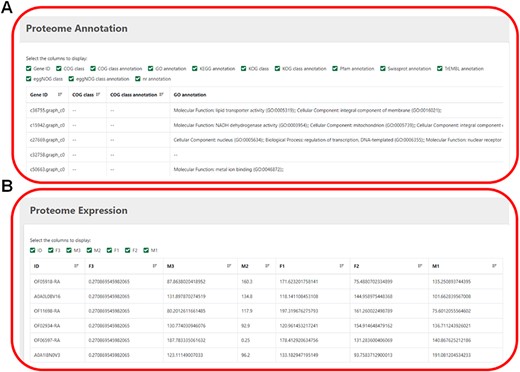 (A) The annotation information of proteome. (B) The expression level of proteome.