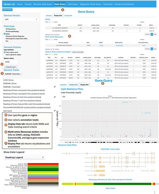 Workflow of the gene query tool.