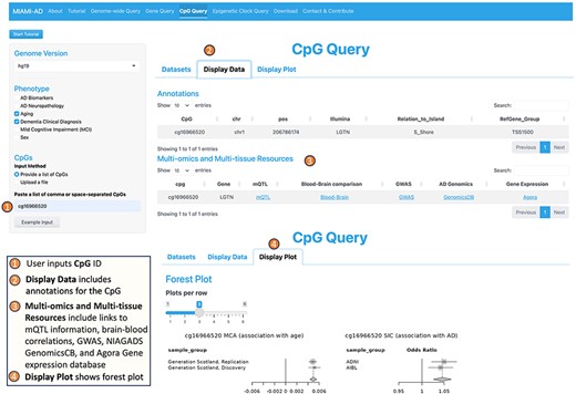 Workflow of the CpG query tool.