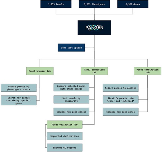 PANGEN facilitates targeted gene panel generation by allowing users to upload gene lists and interactively explore available panels by phenotype, identify similar panels, compare gene content, and generate personalized gene panels.